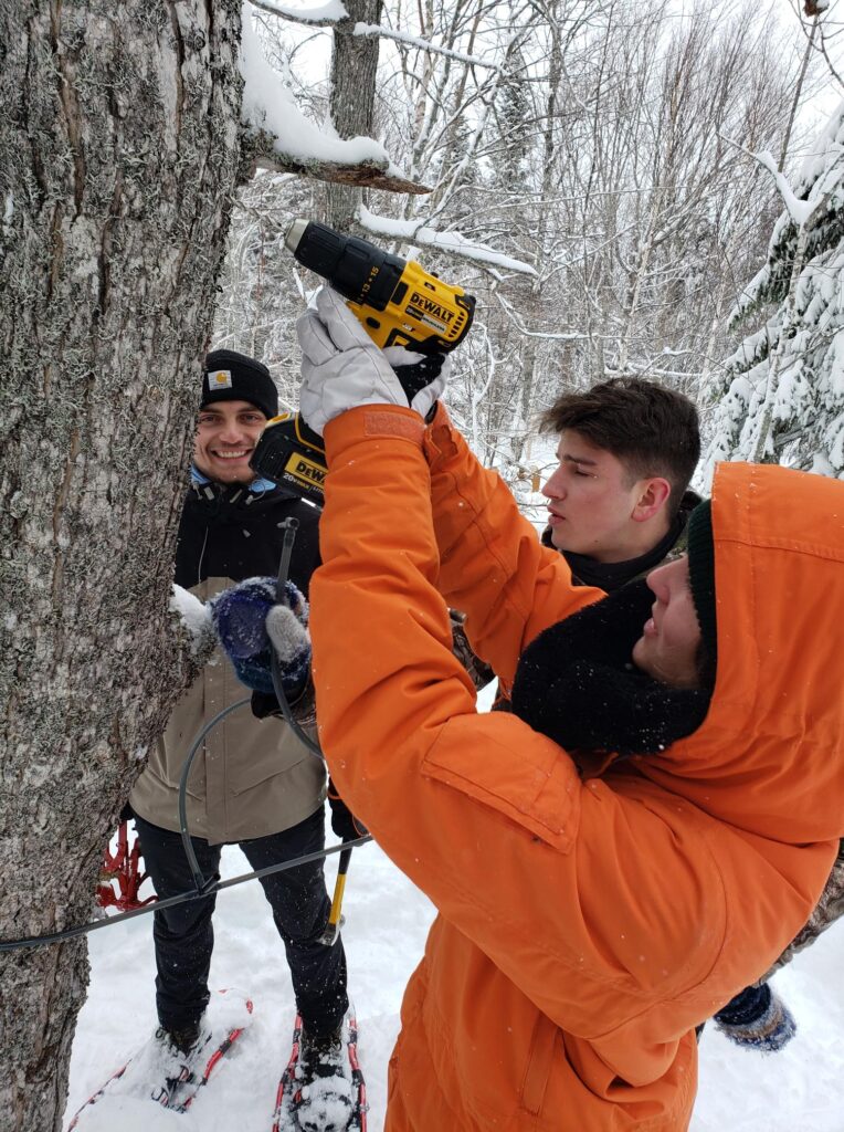 Forestry students interested in participating can produce maple syrup by carrying out all stages of production from the installation or repair of tubing lines to bottling. The project is being carried out at the new Puddingstone Teaching Forest and at a private sugar shack in Douglastown.